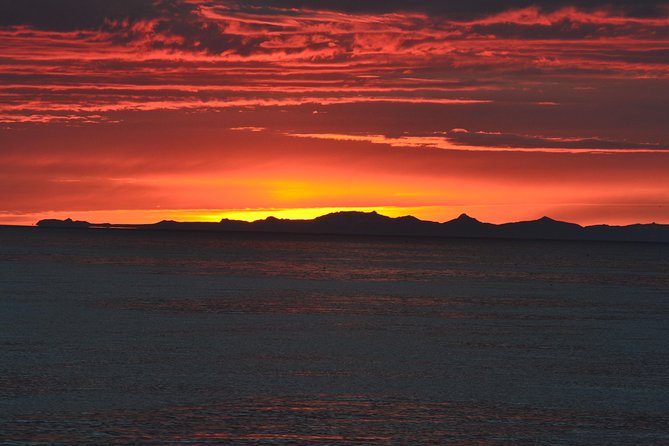 Magical Whales in the Midnight Sun | From Reykjavik - Weather Considerations