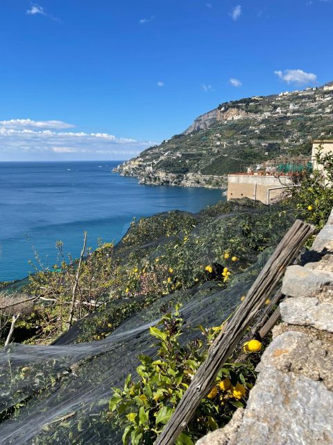 Maiori: Amalfi Coast Path of Lemons Day Trip With Tastings - Tasting Local Delicacies