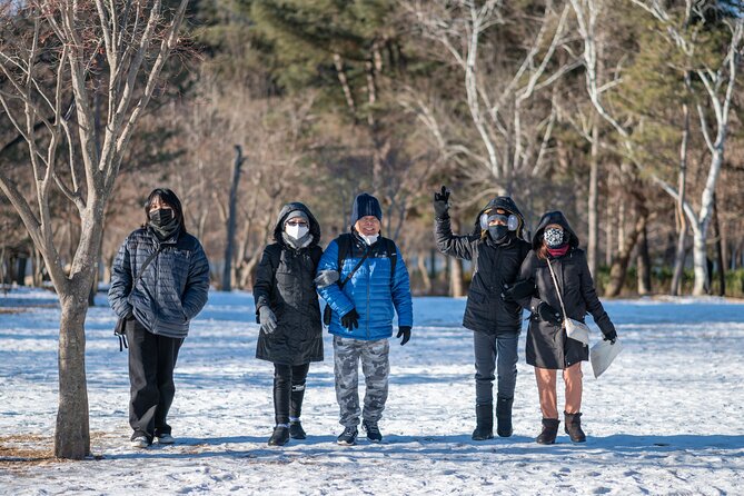 Make Your Trip Around Nami Island With an Expert(Dslr Option) - Inclusions and Amenities