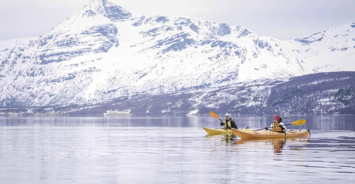 Malangen: Fjord Kayaking With Lunch - Group Size and Languages