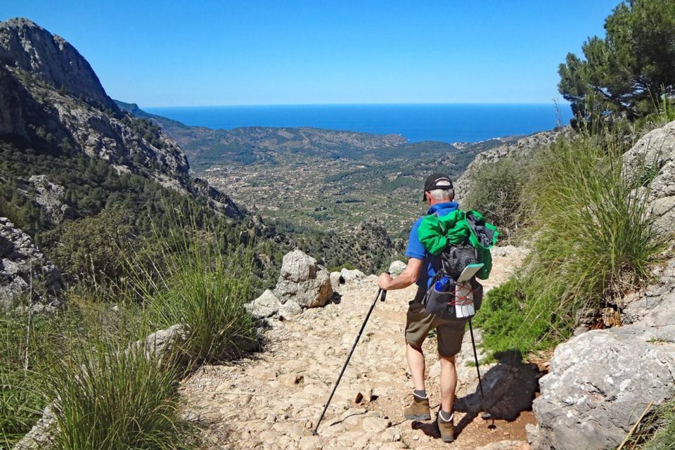 Mallorca Sòller Walking & Picnic Tour (Palma-Magaluf-Sòller) - Booking Information