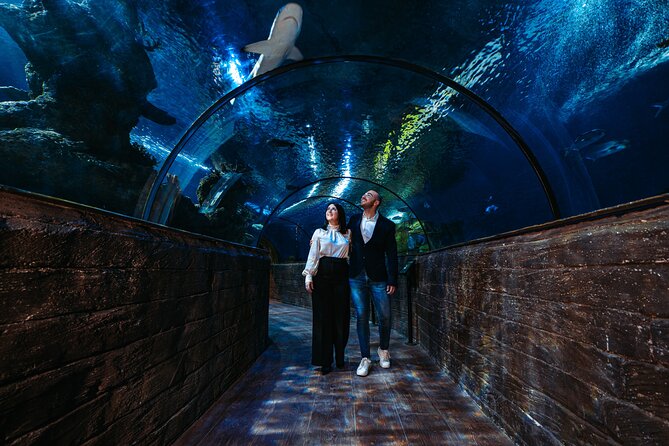 Malta National Aquarium Entrance Ticket - Visitor Reviews and Ratings