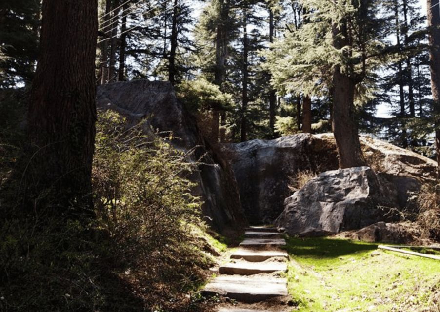 Manali Nature Walk (3 Hours Guided Trekking Experience) - Scenic Features