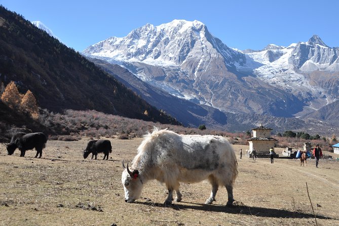 Manaslu Tsum Valley Trekking - Tour Logistics