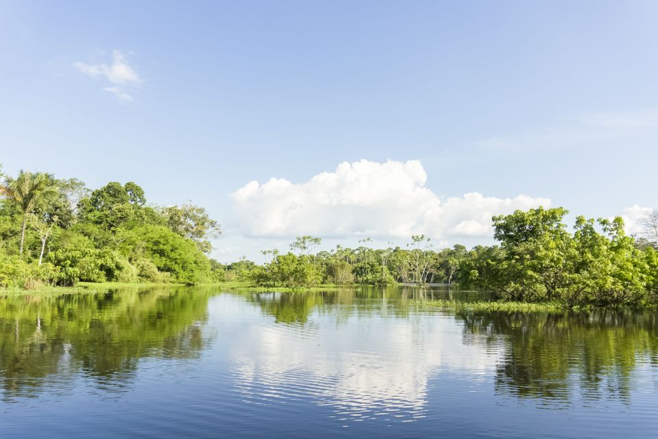 Manaus: Amazon River Stand-Up Paddle - Experience the Amazons Biodiversity