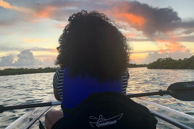 Mangrove Clear Kayak Tour - Included in the Tour