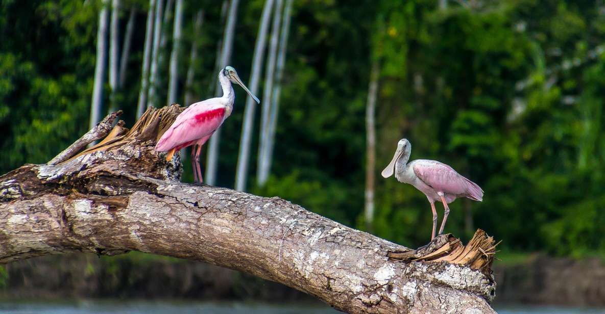 Manu Biosphere 7 Days - Accommodation and Lodges