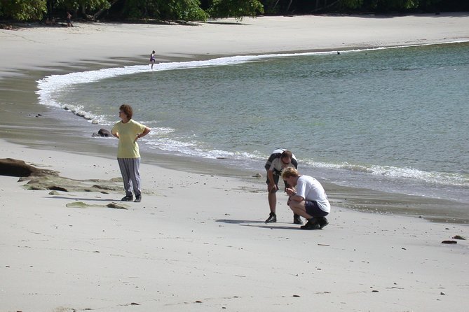 Manuel Antonio National Park Full Day Tour From San Jose - Wildlife Encounters