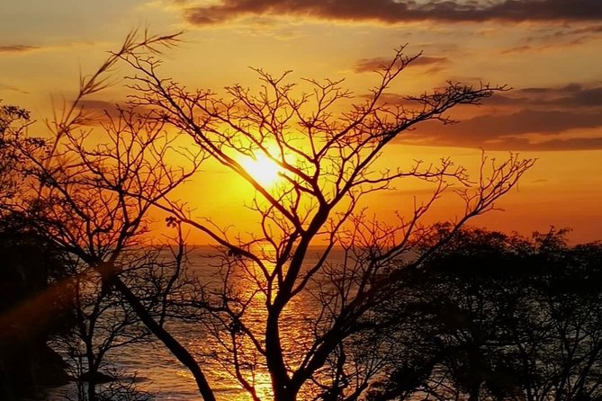 Manuel Antonio National Park Full Wildlife - Pricing Structure and Options