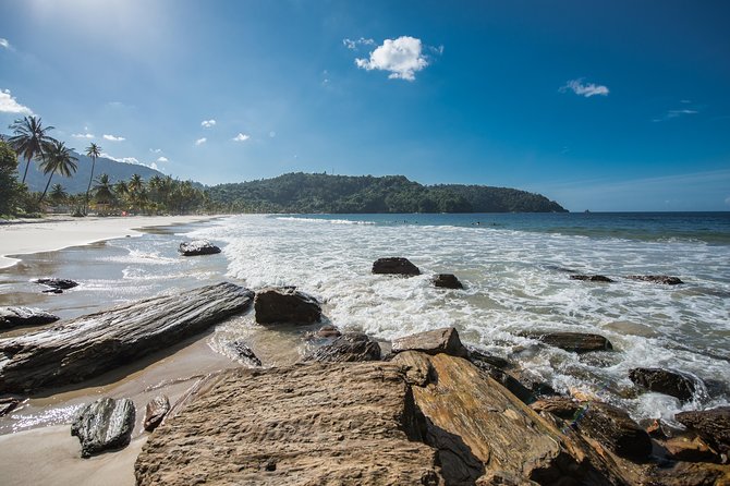 Maracas Beach Trip - Customer Experiences and Reviews