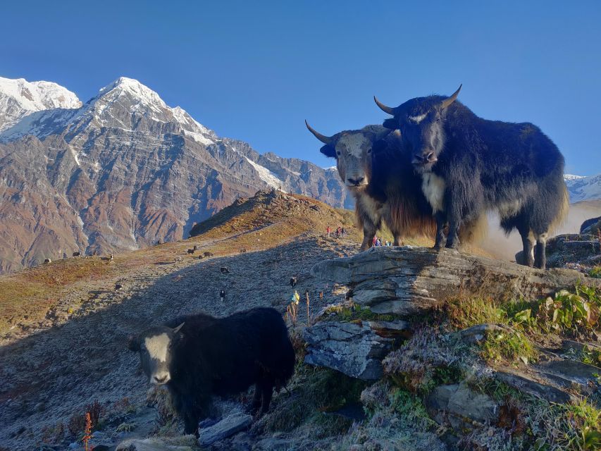 Mardi Himal Trek - Booking Process