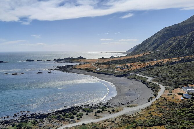 Martinborough Wine and Wild Coast Tour From Wellington - Pickup Information