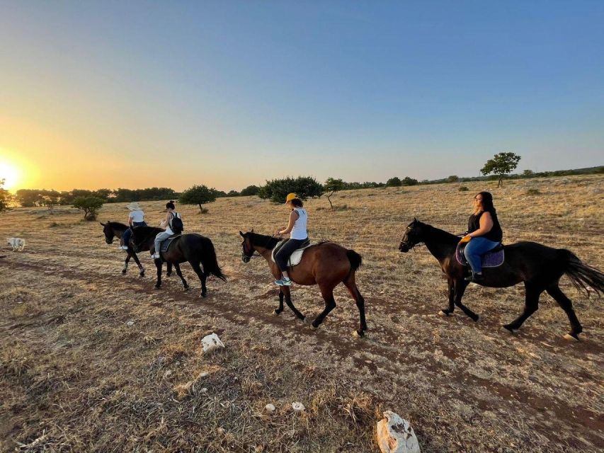 Matera: Sunset Horseback Riding Tour on Murgia - Safety and Instruction