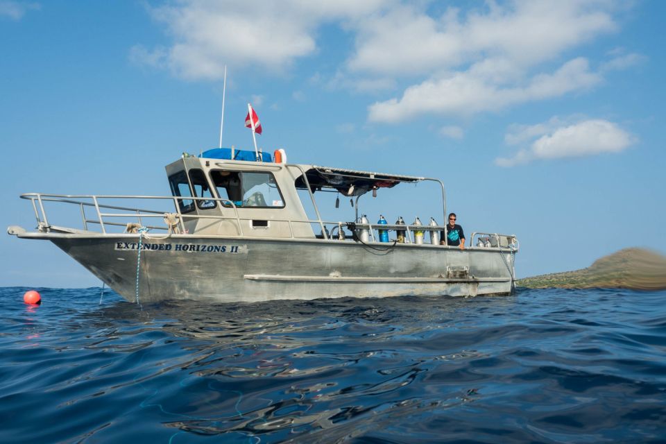 Maui: Beginner Discovery Scuba Dive Excursion From Lahaina - Booking Information