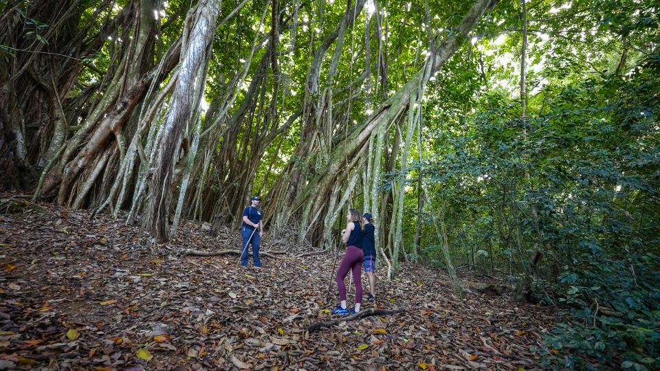 Maui: Honolua Ridgeline Informational Hike - Itinerary and Duration