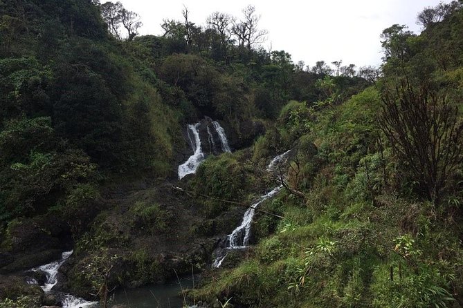 Maui Tour : Road to Hana Day Trip From Kahului - Guest Experiences and Reviews