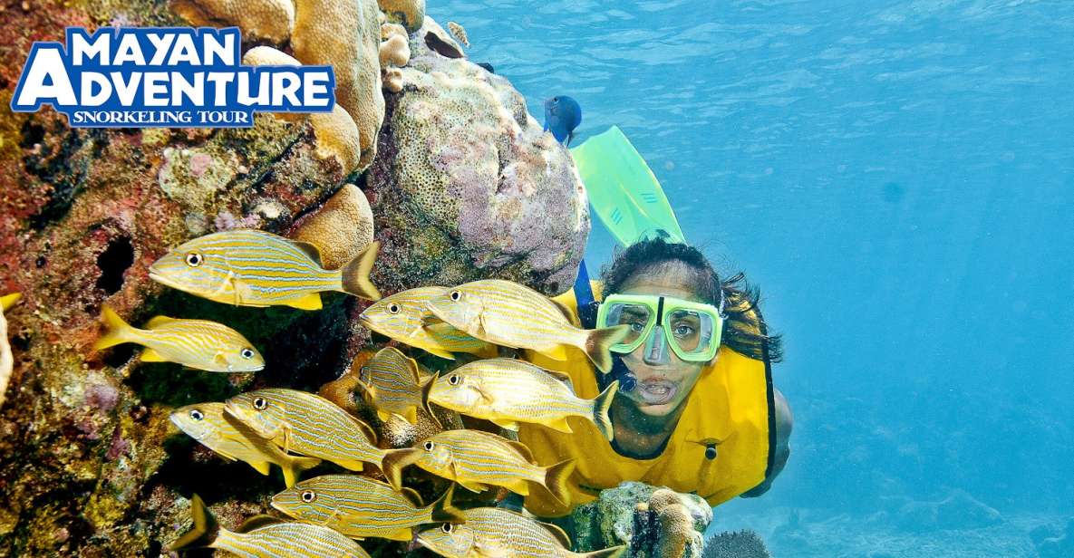 Mayan Adventure - 3 Different Snorkeling Sites in One Day! - Included Services