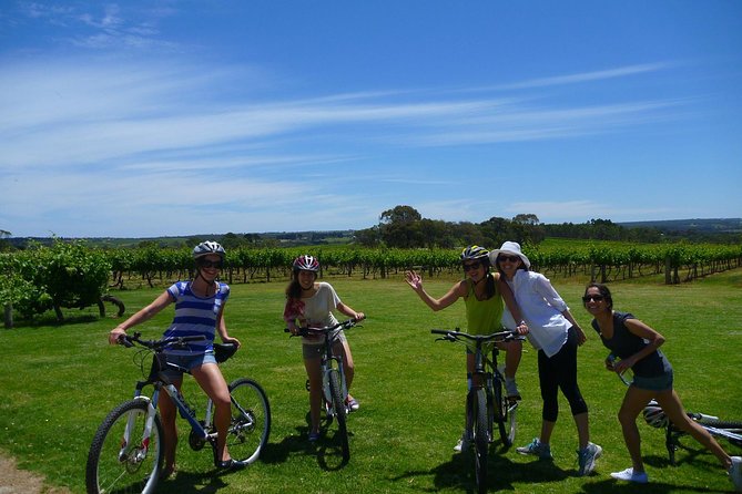 McLaren Vale Wine Tour by Bike - Scenic Route and Views