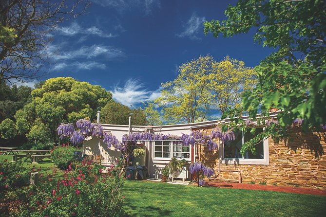 Mclaren Vale Winery Small Group Tour With Wine Tasting and Lunch - Wine Tasting Details