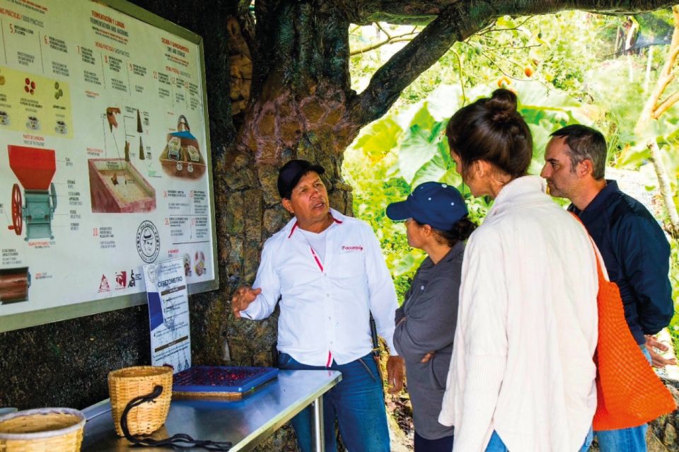 Medellin: Mountain Bike Coffee Farm Tour and Spa Experience - Exploring the Coffee Farm