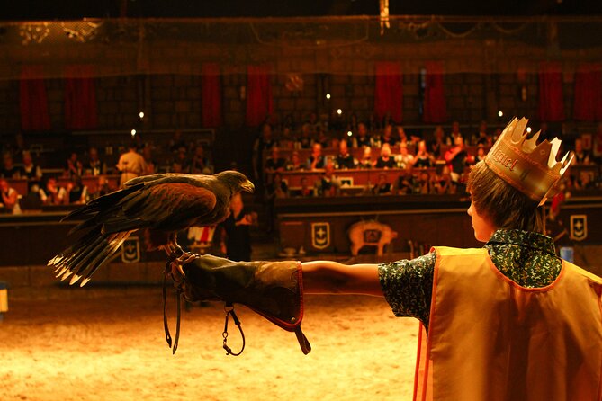 Medieval San Miguel Castle With Dinner-Show in South Tenerife - Interactive Audience Engagement