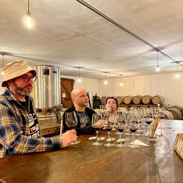Médoc Half-Day in the French Classic Car: Visit 2 Vineyards - Vineyard Highlights