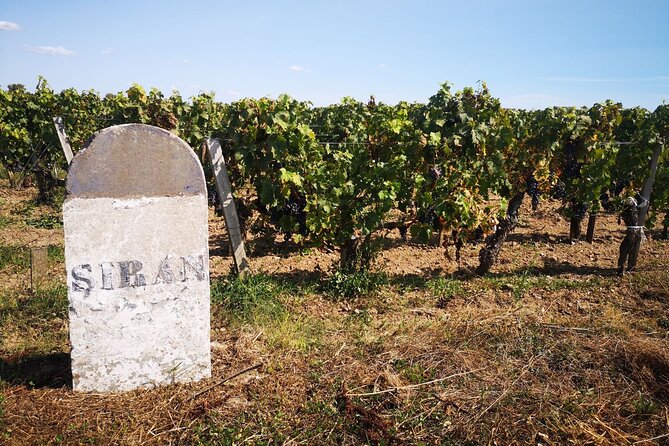 Medoc Region Wine Day Trip With Vineyard Visits & Tastings From Bordeaux - Meeting and Pickup