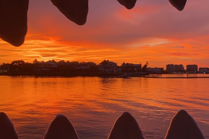 Mega Bite Dolphin Tour Boat in Clearwater Beach - Parking and Arrival Tips