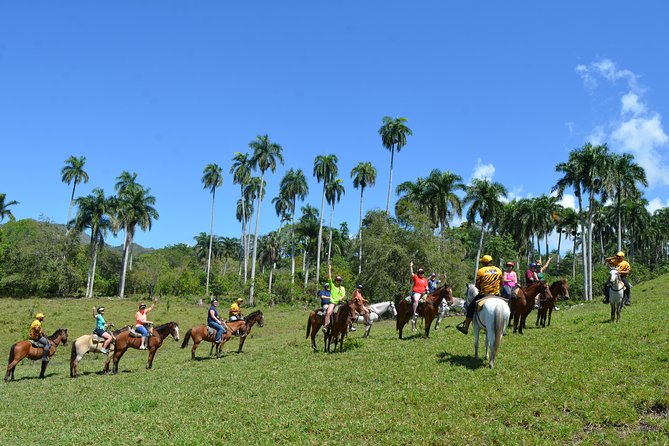 Mega Zip and Ride in Dominican Countryside - Inclusions and Whats Provided