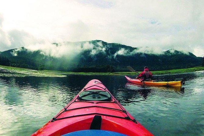 Mendenhall Glacier View Sea Kayaking - Meeting and End Points