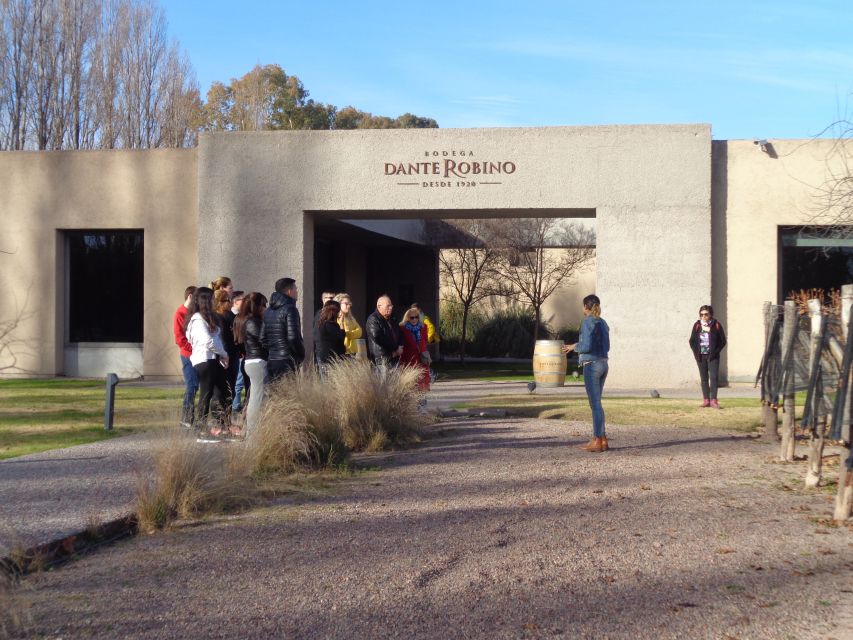 Mendoza: Half-Day Wine Tour With Tastings - Pricing and Payment Options