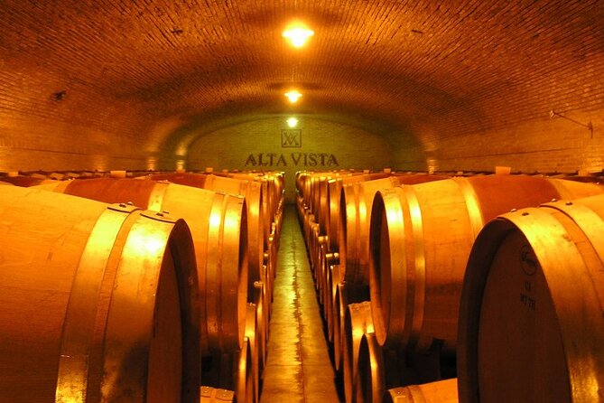 Mendoza Wine Tour With Lunch - The Role of the Guide