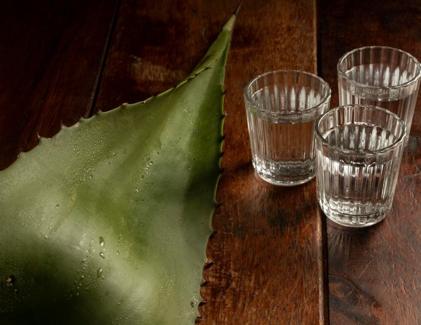 Mexico City: Tacos & Mezcal Tour - Mezcal Mysteries and Speakeasy Discovery