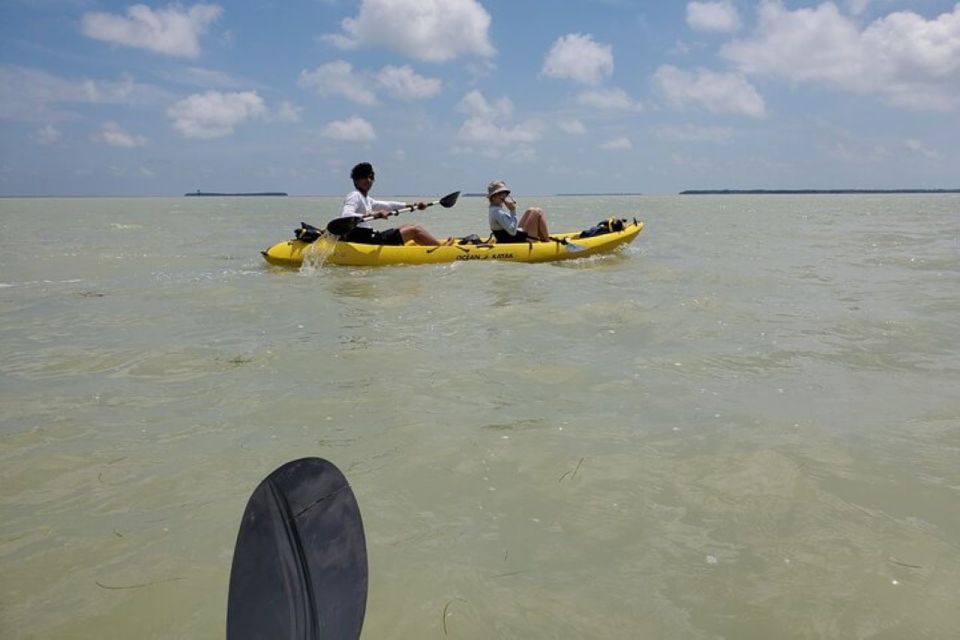 Miami: Everglades National Park Hiking and Kayaking Day Trip - Guided Wildlife Observation