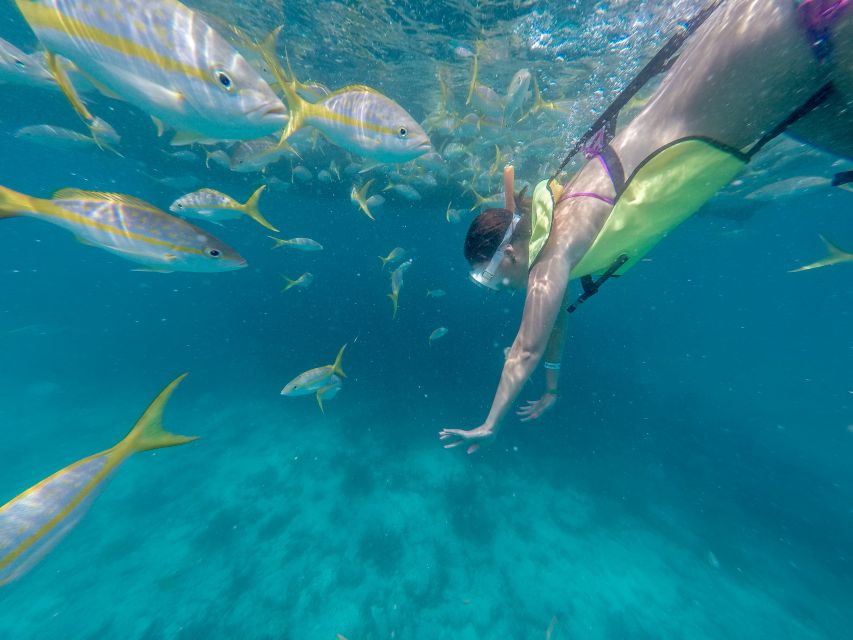 Miami: Key West Tour With Snorkeling & Kayaking - Included Activities