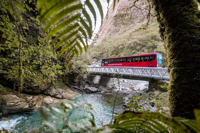 Milford Sound Coach and Cruise From Te Anau With Buffet Lunch - Customer Reviews