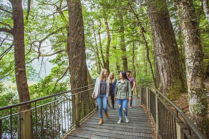 Milford Sound Coach & Cruise Tour From Te Anau - Cruise Experience