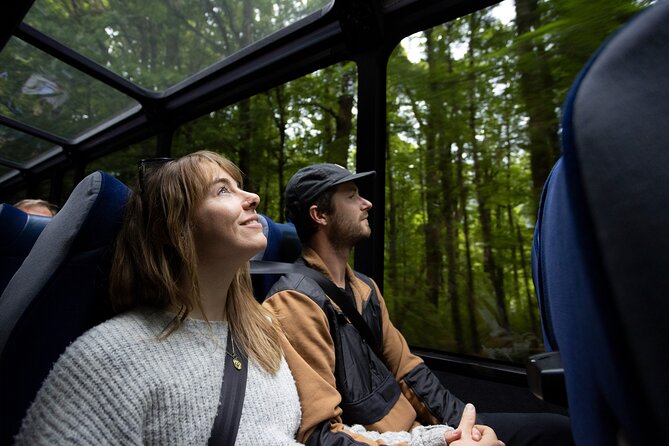 Milford Sound Cruise From Queenstown or Te Anau - Reviews and Ratings