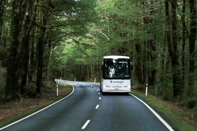 Milford Sound Full-Day Tour From Te Anau - Wildlife Sightings on the Cruise