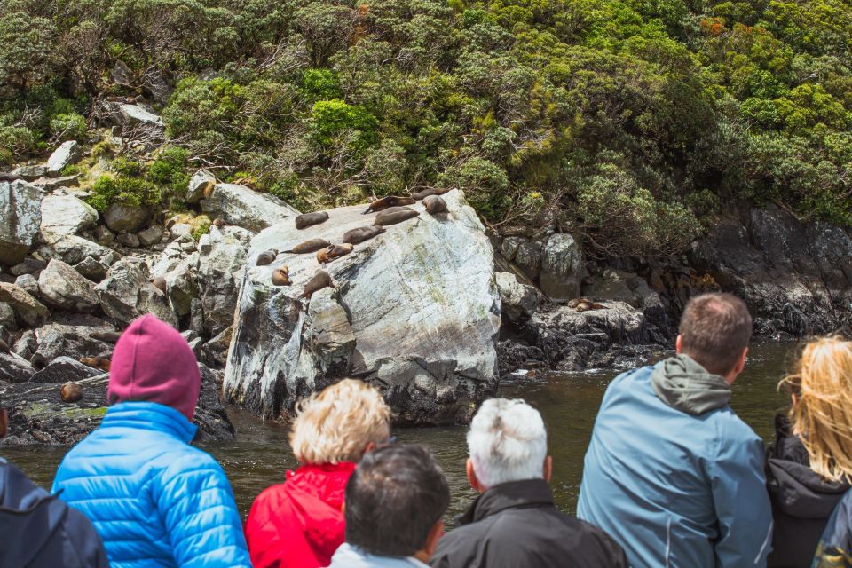 Milford Sound: Nature Cruise on a Modern Catamaran - Inclusions