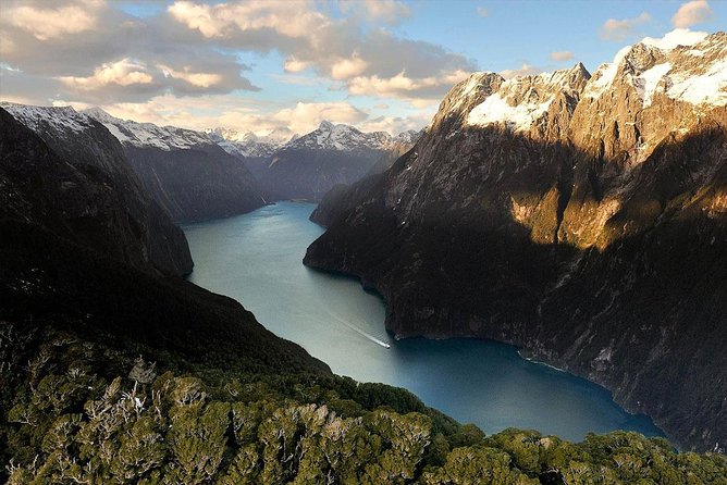 Milford Sound Scenic Flight and Nature Cruise - Nature Cruise Features