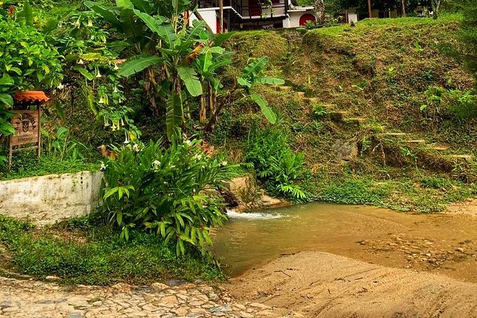 Minca - Coffee And Cocoa Tour - Health and Safety Measures