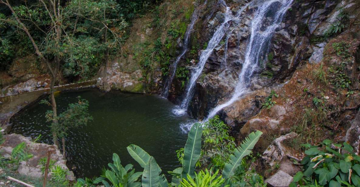 Minca: Day-Trip With Coffee Farm - La Victoria Coffee Farm Tour