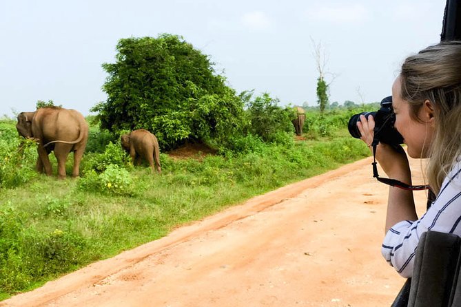 Mirissa to Ella Shuttle & Safari Drive - Customer Feedback and Reviews