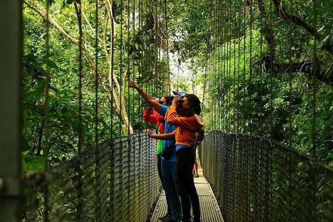 Mistico Hanging Bridges Tour With Lunch and Hotsprings - Booking Information and Tips