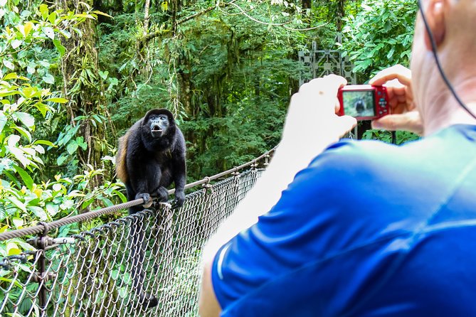 Mistico Park Hanging Bridges Guided Tour - Accessibility Features