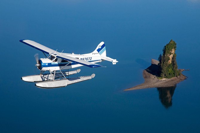 Misty Fjords National Monument Floatplane Tour - Wildlife Viewing Opportunities