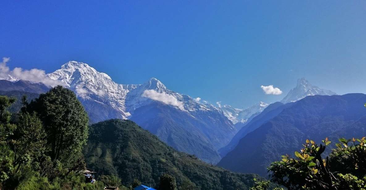 Mohare Danda Trek - Detailed Itinerary