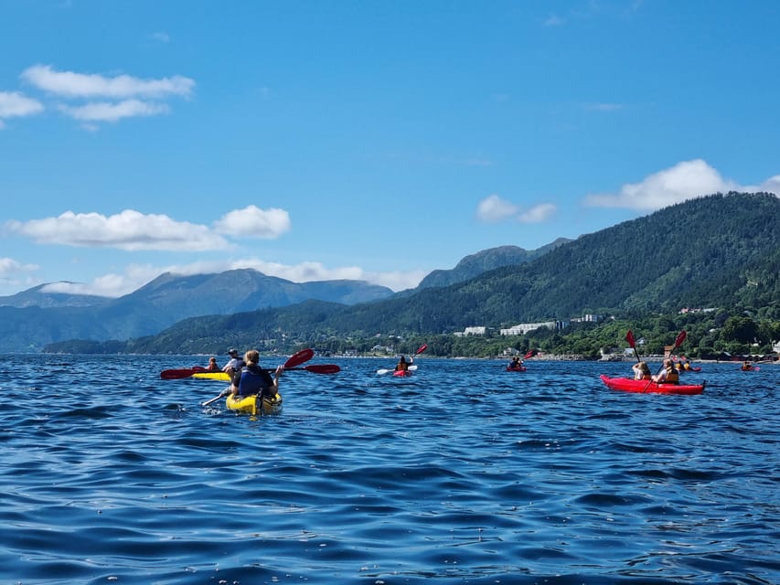 Molde - Guided Kayak Tour - Included Equipment