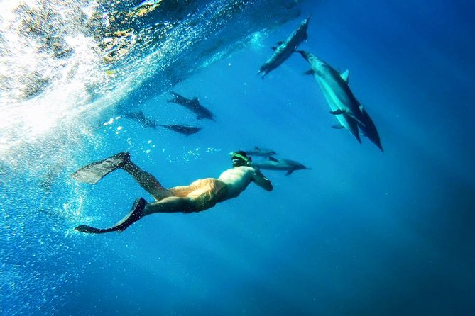 Molokini Snorkel and Performance Sail From Maalaea Harbor - Meeting Location and Schedule